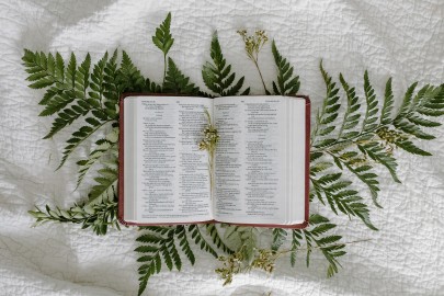 Conforme a las Escrituras